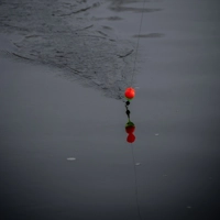 Westin Pike Slider Float
